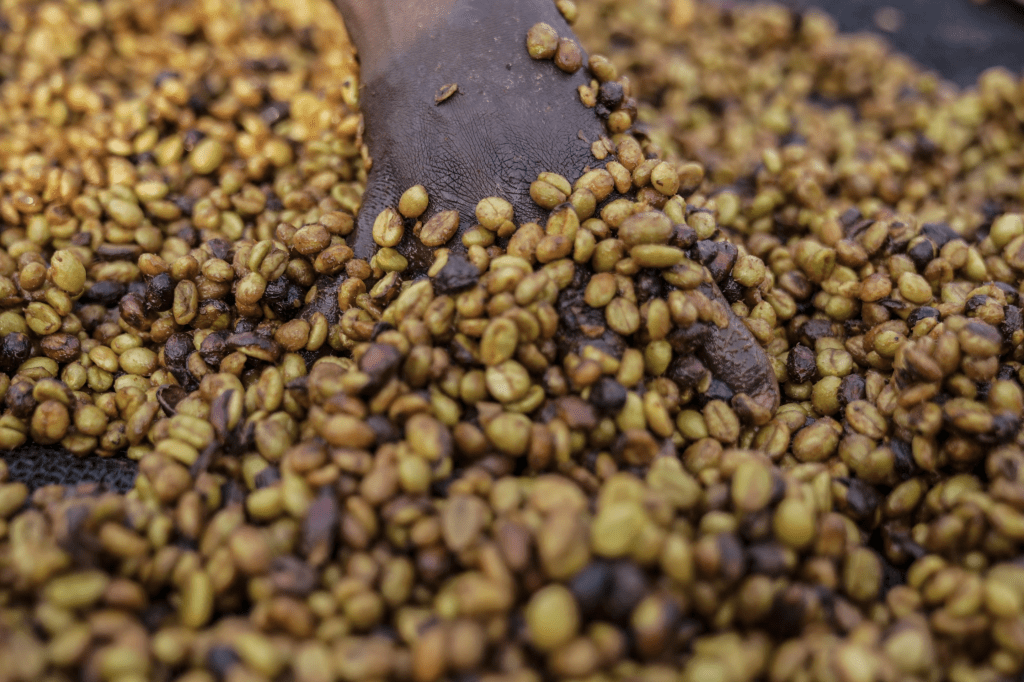 As warming climate hammers coffee crops, this rare bean may someday be your&nbsp;brew